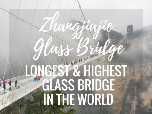 Walking on Air at the Zhangjiajie Glass Bridge