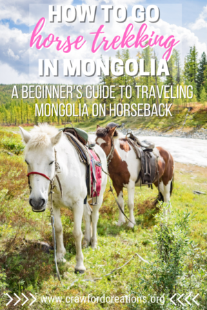 Horse Trekking In Mongolia | Mongolia Travel | Horseback Riding In Mongolia | Mongolia Horse Trek | Asia Travel