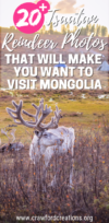 Tsaatan Reindeer Mongolia | Tsaatan Reindeer Photos | Mongolia Reindeer | Mongolia Photo Essay | Mongolia Travel | Asia Travel | Travel Photography | Mongolia Photos