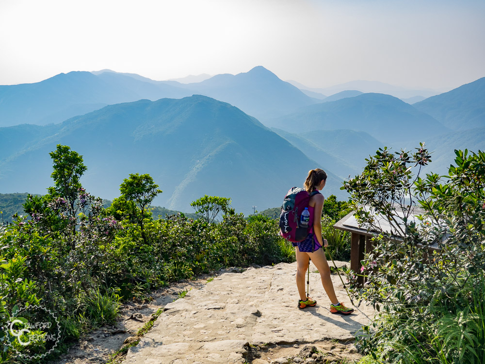 maclehose-trail