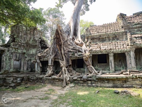 Follow Us To CAMBODIA: The Ultimate 1 Week Siem Reap Itinerary ...