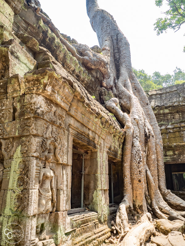 ta-prohm