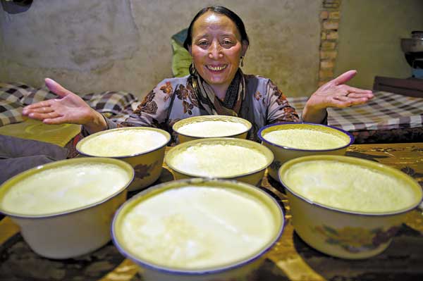 tibetan-yogurt