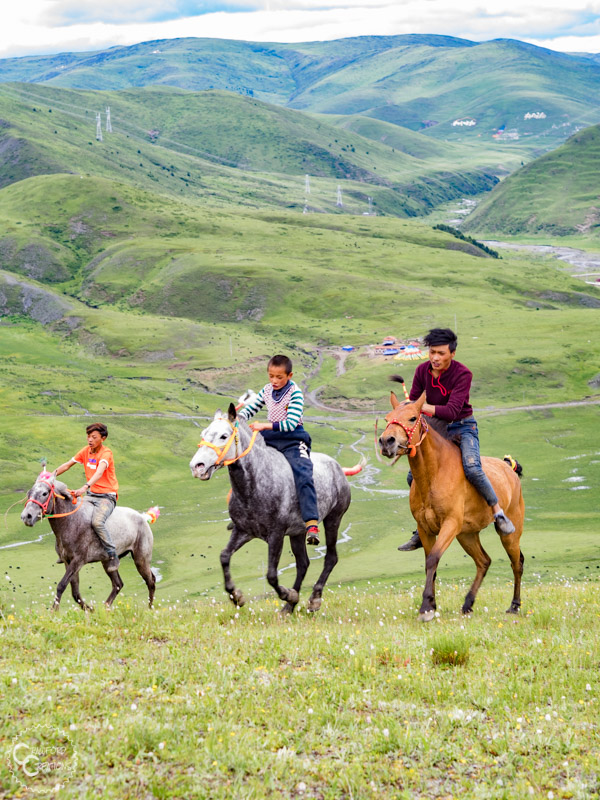 tagong-horse-festival