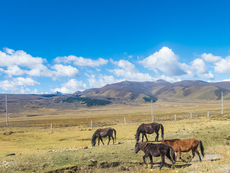 tibet-roadtrip-itinerary