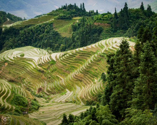 The Complete Guide To Visiting The Longji Rice Terraces, Guilin ...