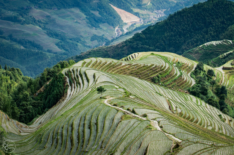 pingan-rice-terraces-guilin