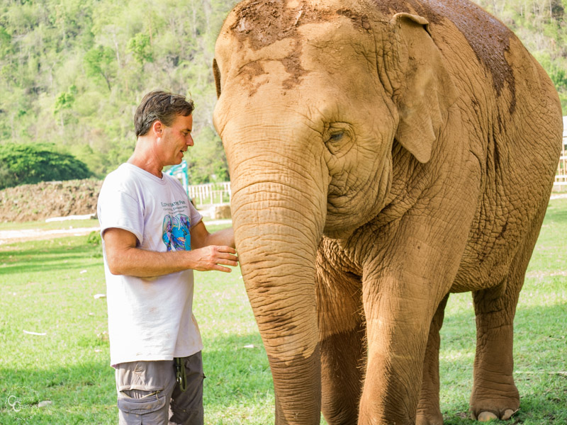 elephant-nature-park-weekly-volunteer