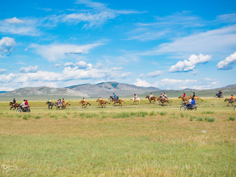 horse-race-mongolia-naadam