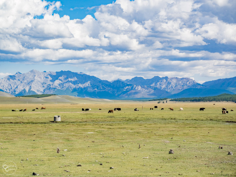 mongolia-mountains