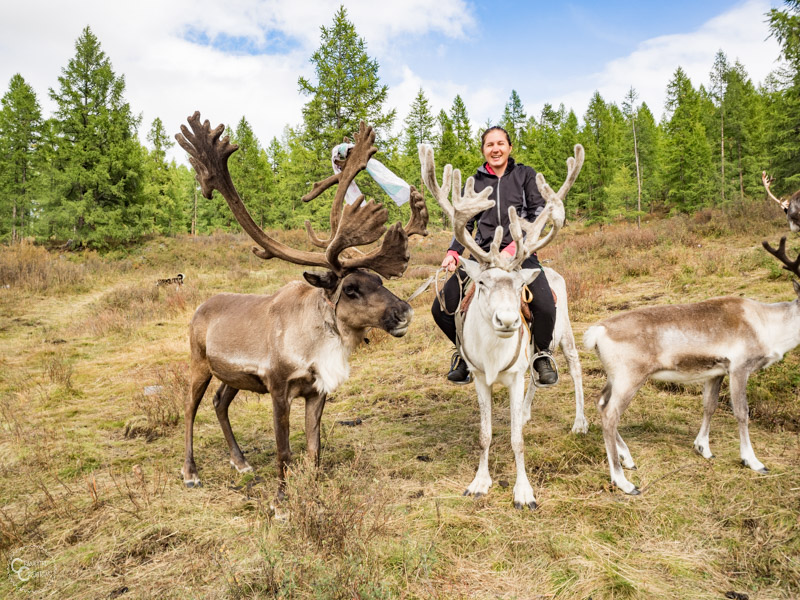 riding-reindeer-tour-mongolia