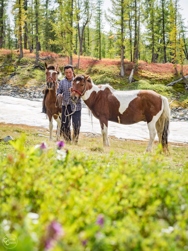 mongolia-horse-trek