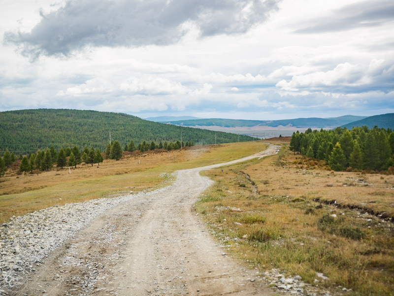 mongolia-taiga-overland