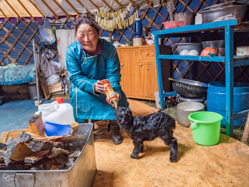 nomad-family-mongolia