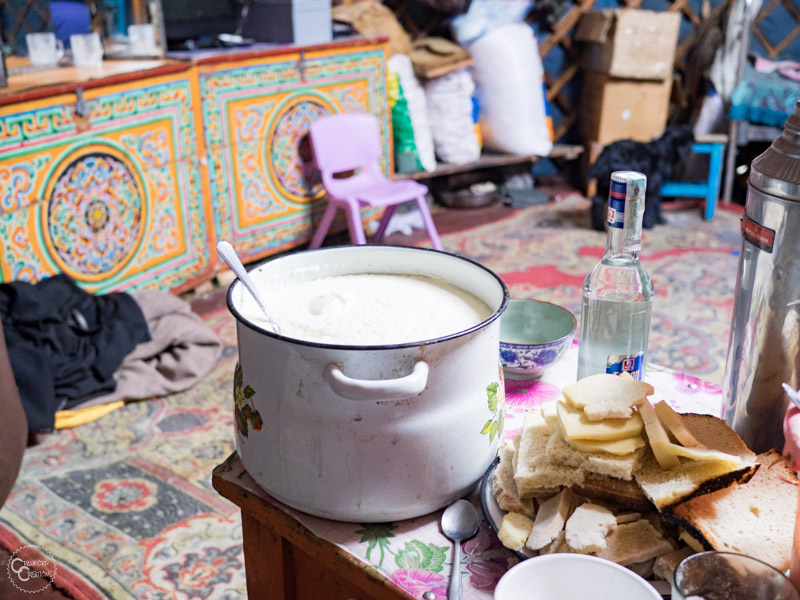 homemade-yogurt-mongolia